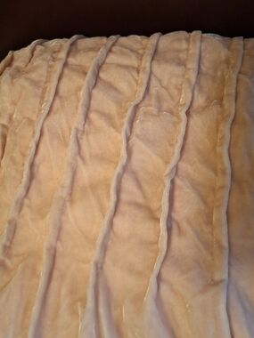 Pottery Barn Blush Pink Shimmer Velvet Ribbed Drape.